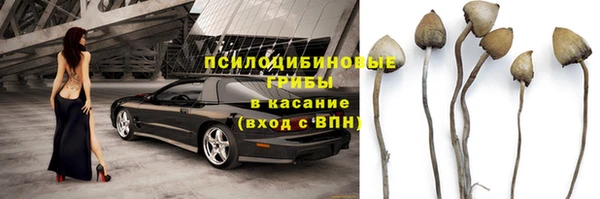 крисы Бугульма