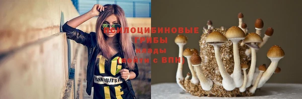 дживик Богородицк