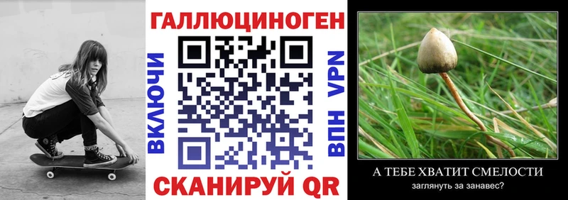 что такое наркотик  Карталы  Псилоцибиновые грибы мухоморы 